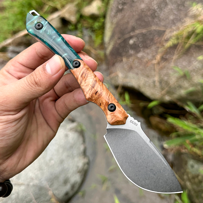 Coltello a lama fissa in accia - Edc Carry Knife recensione e prezzo