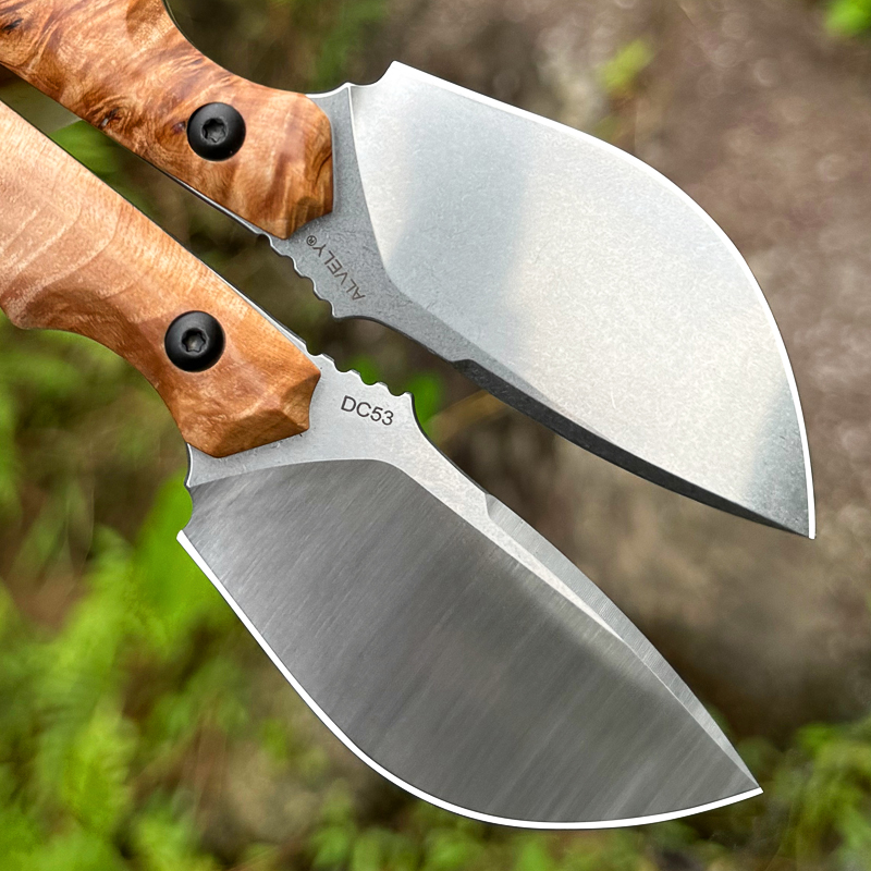 Coltello a lama fissa in accia - Edc Carry Knife recensione e prezzo